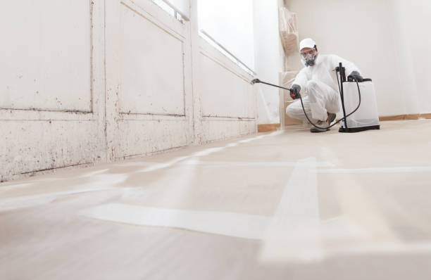 24/7 Emergency Attic Mold Remediation experts in Elmira, NY